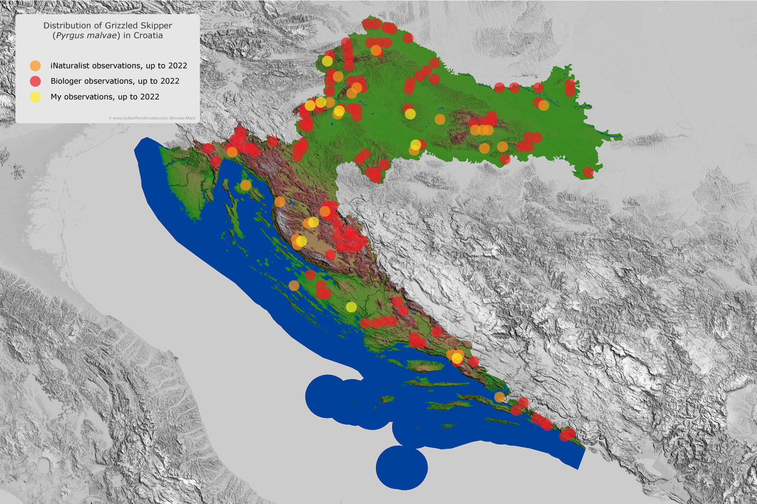 Distribution map of Pyrgus malvae in Croatia