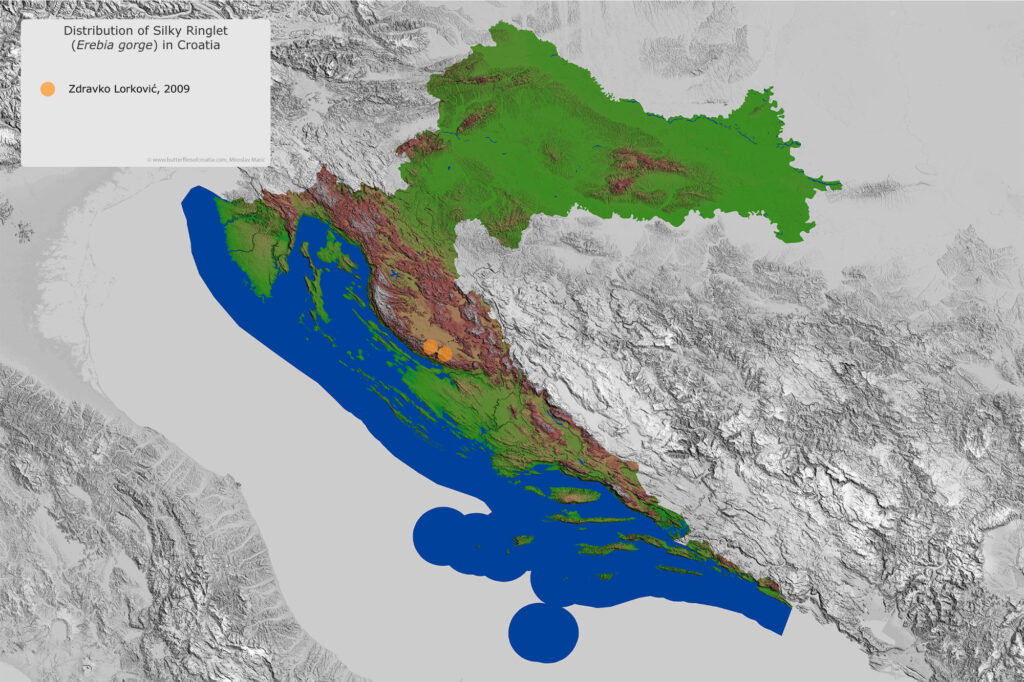 Distribution of Erebia gorge in Croatia
